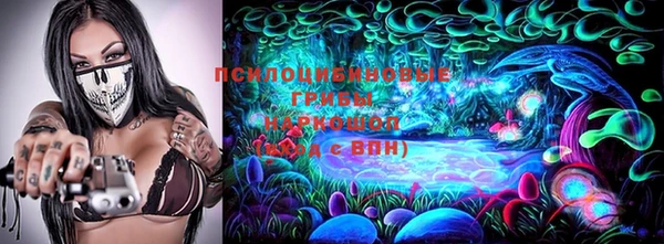 гашик Приозерск